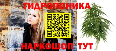 ПСИЛОЦИБИНОВЫЕ ГРИБЫ Свободный