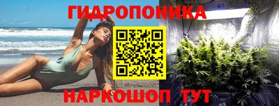 индика Рыбинск