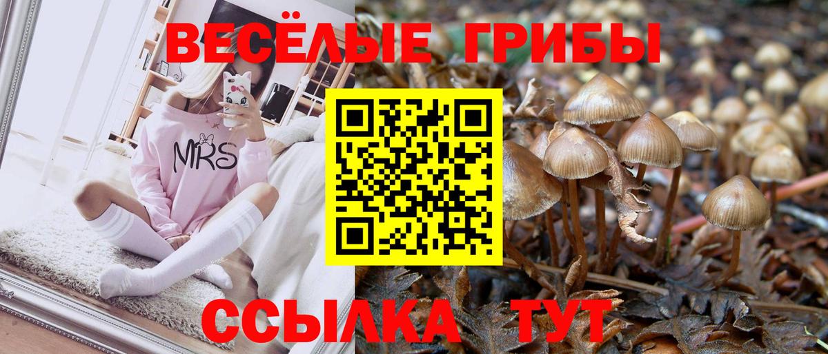 Галлюциногенные грибы прущие грибы  Вход с VPN  Обнинск  Галлюциногенные грибы Magic Shrooms 